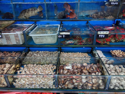 水產品之河海鮮 營養價值與消費指南